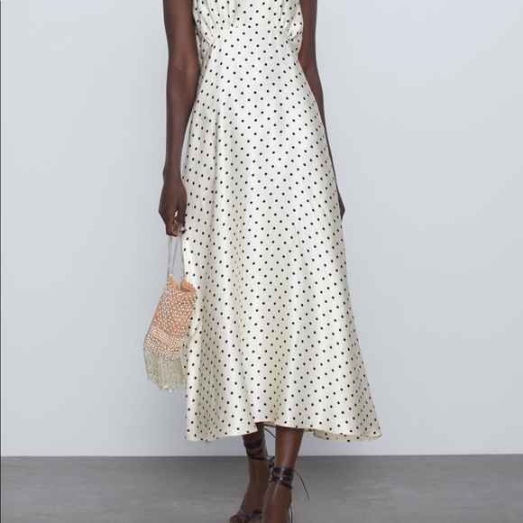 Zara Dresses & Skirts - Zara Polka Dot Tied high Collar Dress